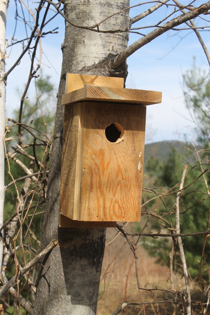 Building a Bluebird Box MyNature Apps