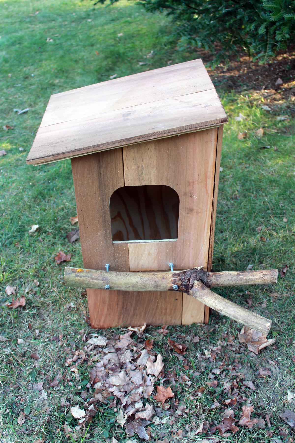 Barn Owl 3/4" Solid Cedar Owl House Nesting Box Nest Home Barred Great Horned!! 